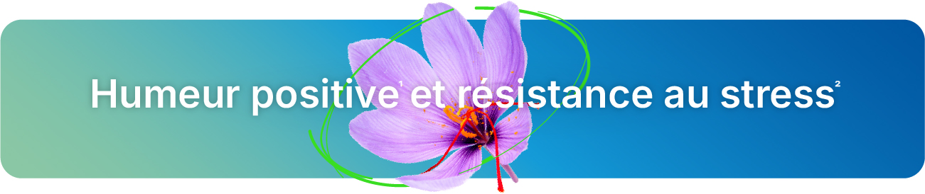 Boite du complément alimentaire Bacterelax® Packshot du complément alimentaire Bacterelax®